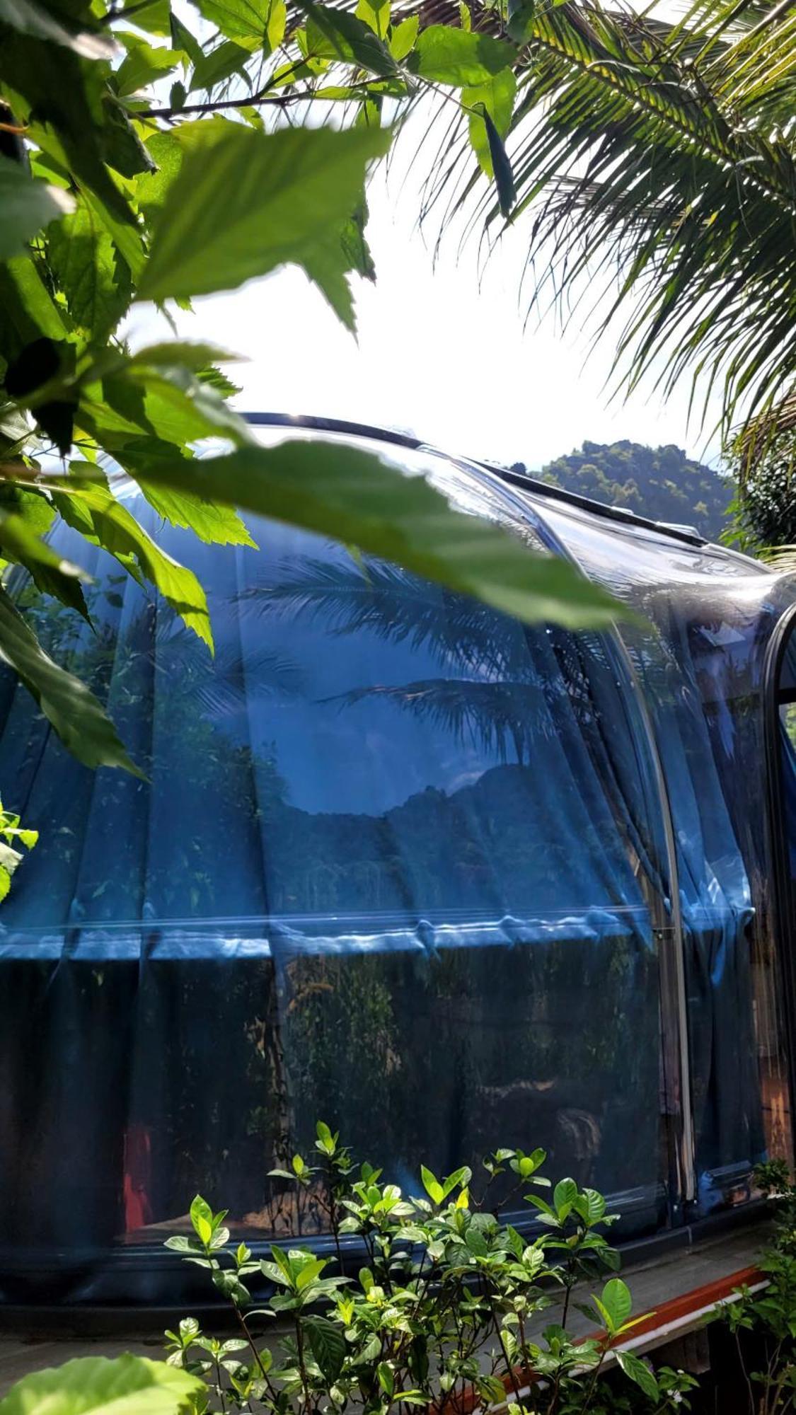 Fairy Mountain Retreat * Ninh Binh